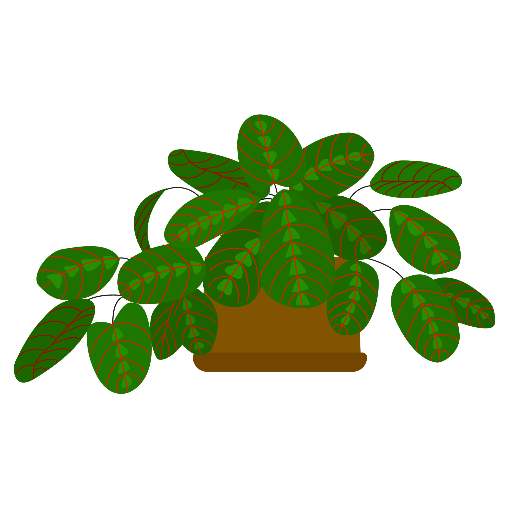 Are Prayer Plants poisonous?