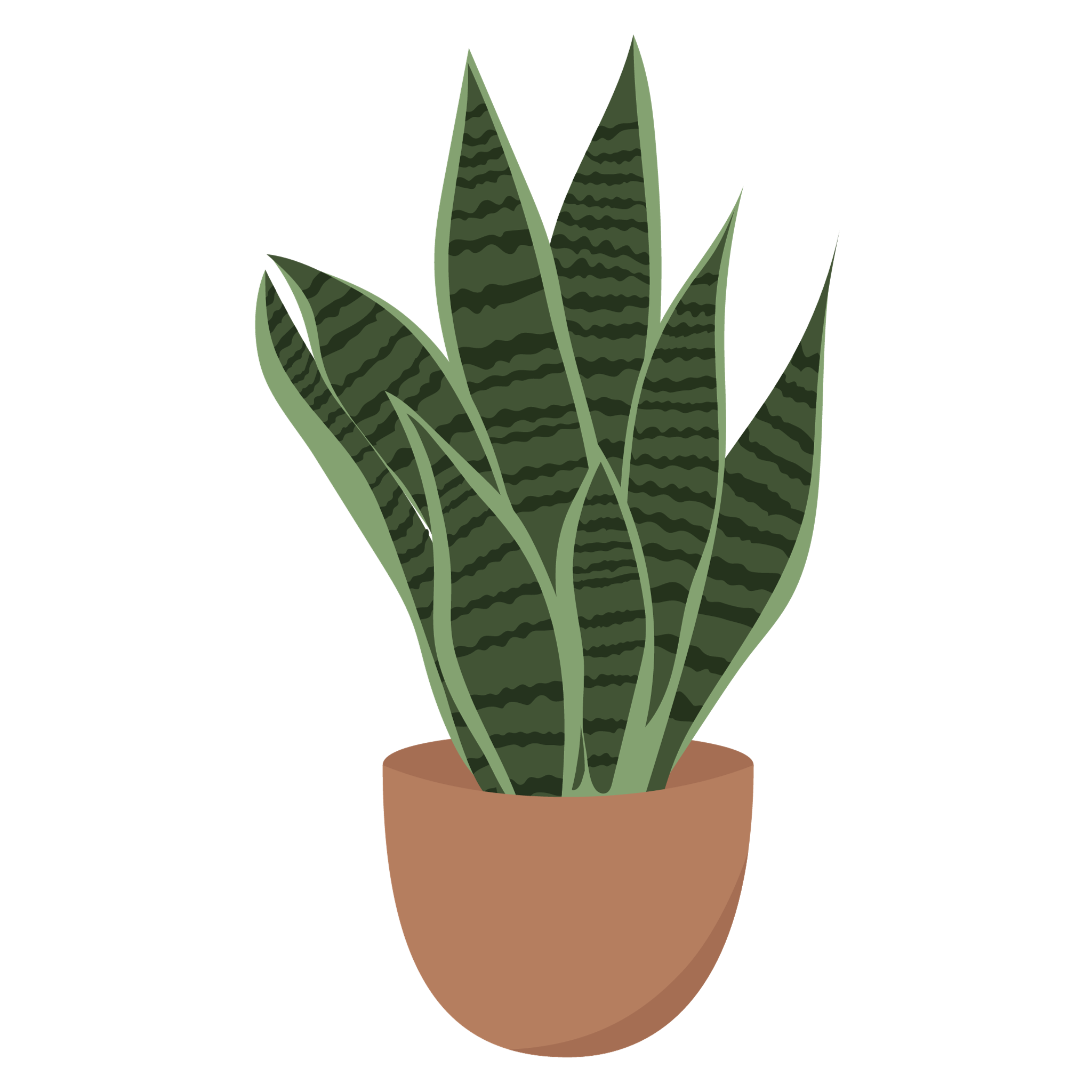 How to Propagate Snake Plants