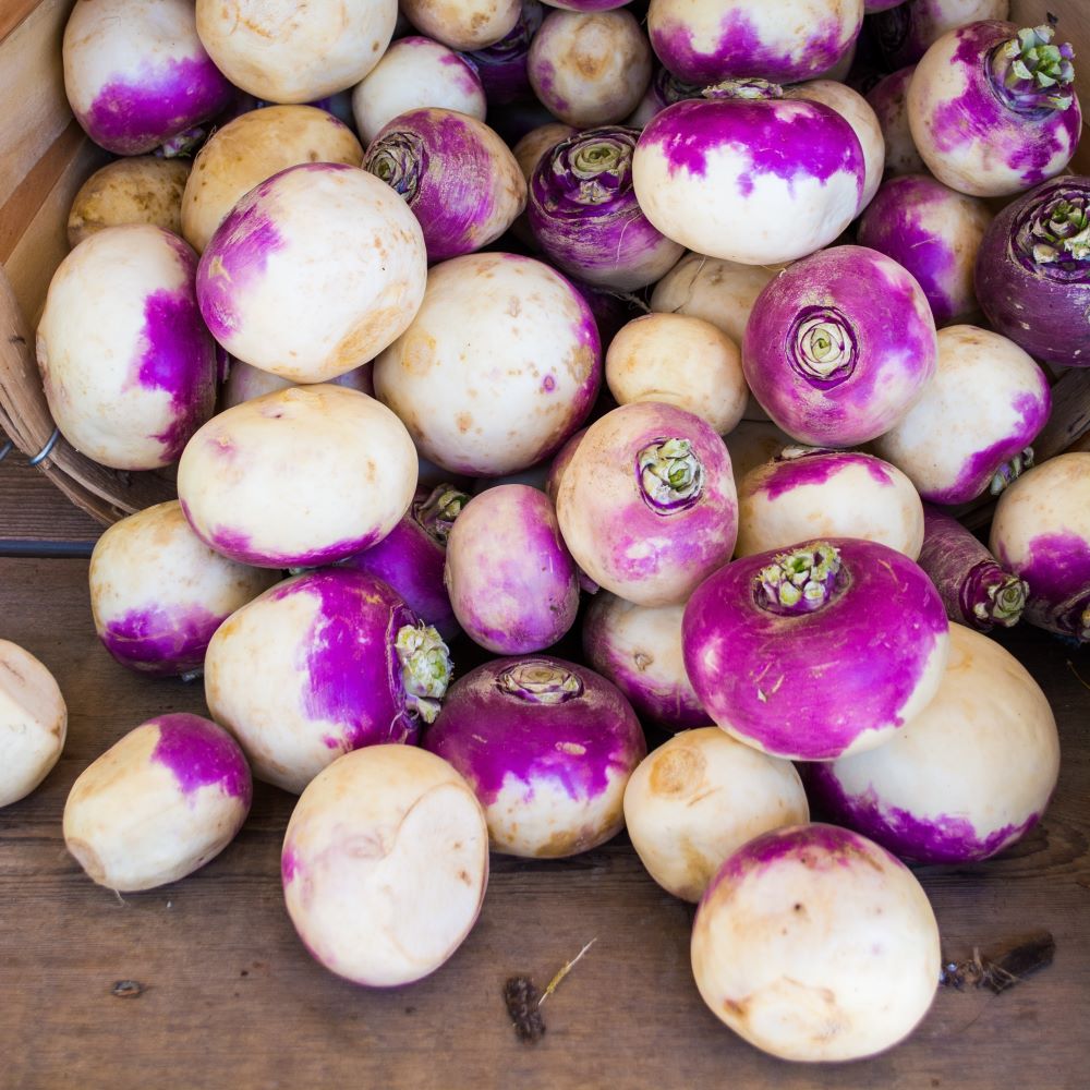 Green Heart Garden | CSA - Turnips