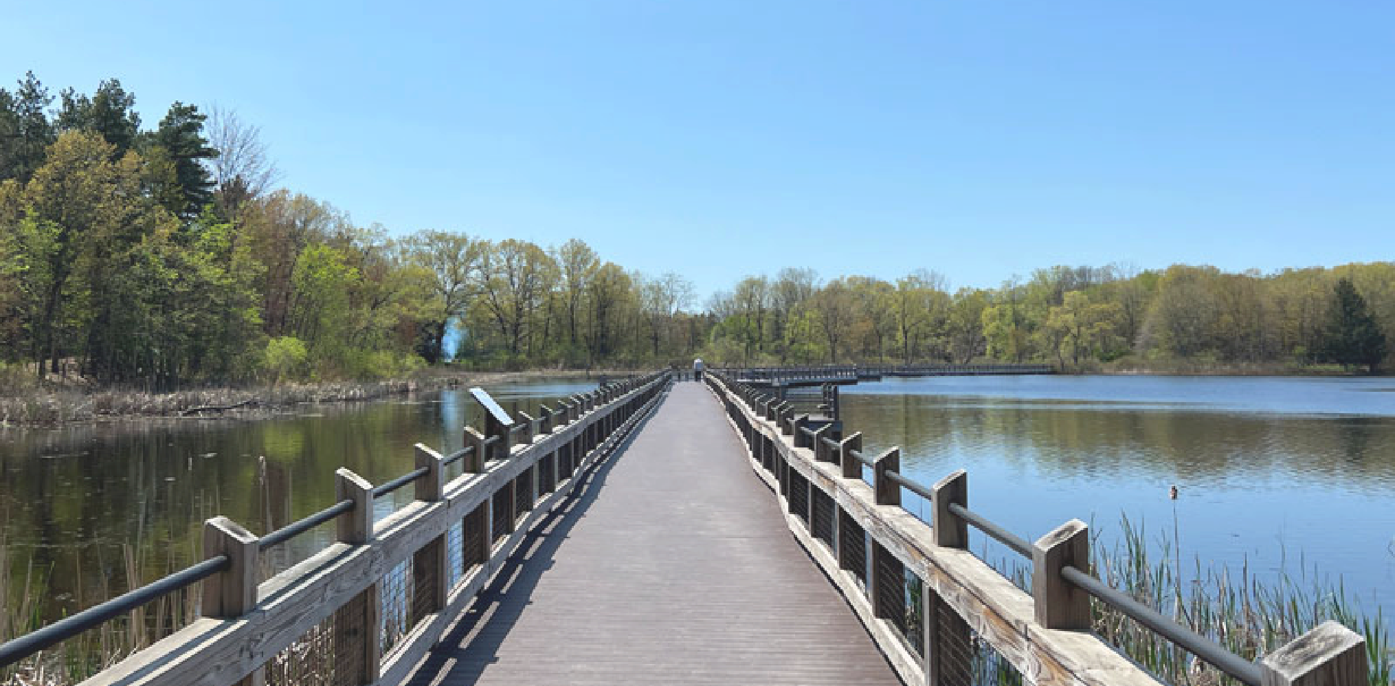 Cannon Township