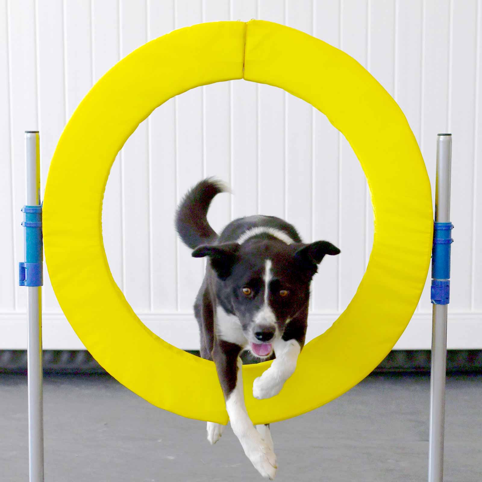 Training & Education Cochrane & Area Humane Society