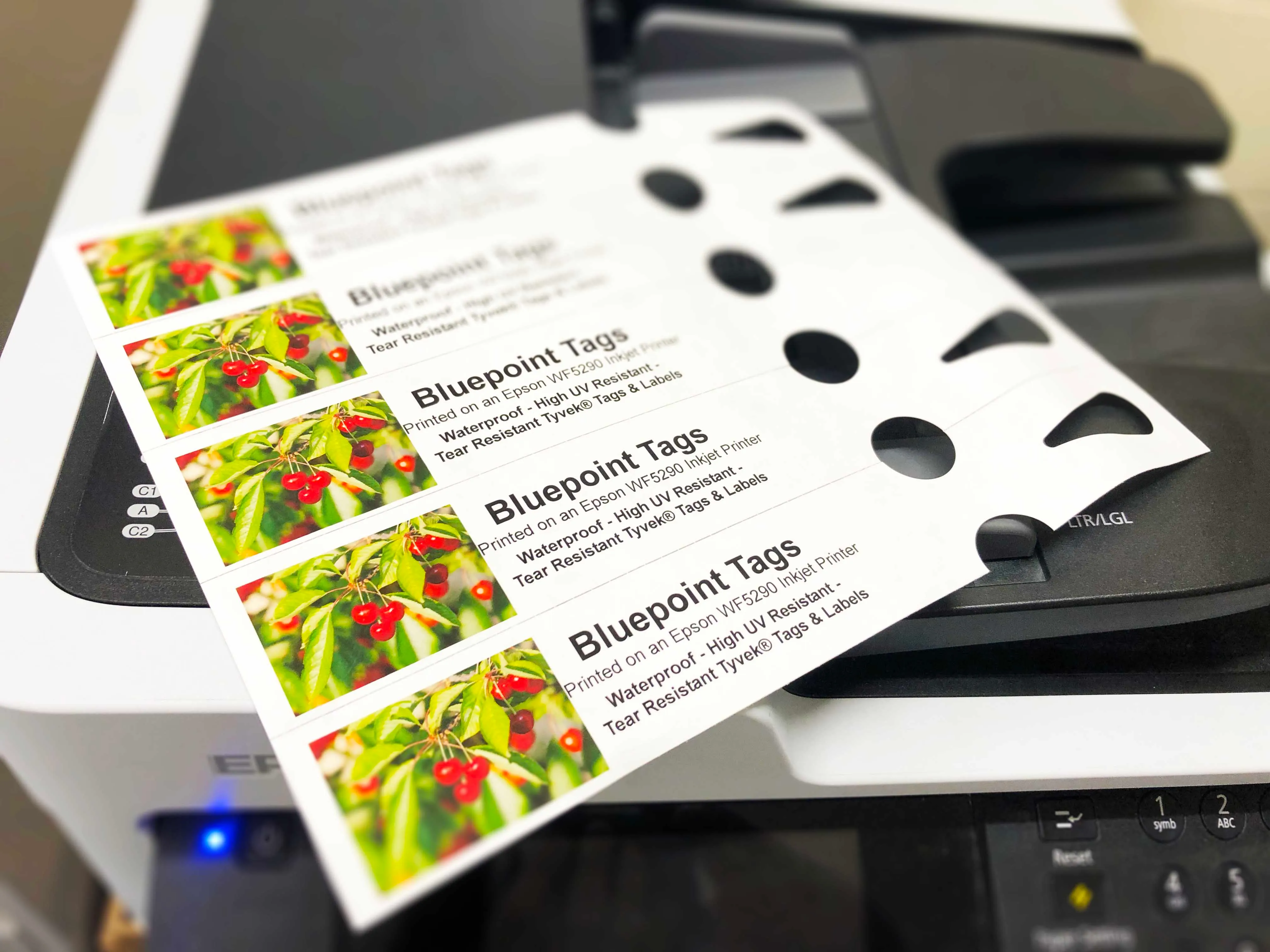 Our Products Bluepoint Tags & Labels