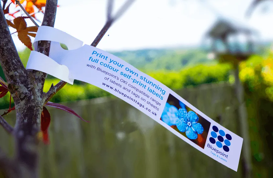 Bluepoint Tags & Labels Premier Industrial Tag & Label Solutions in