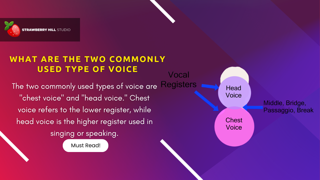 Understanding Vocal Dynamics: What are the Two Commonly Used Types of Voice