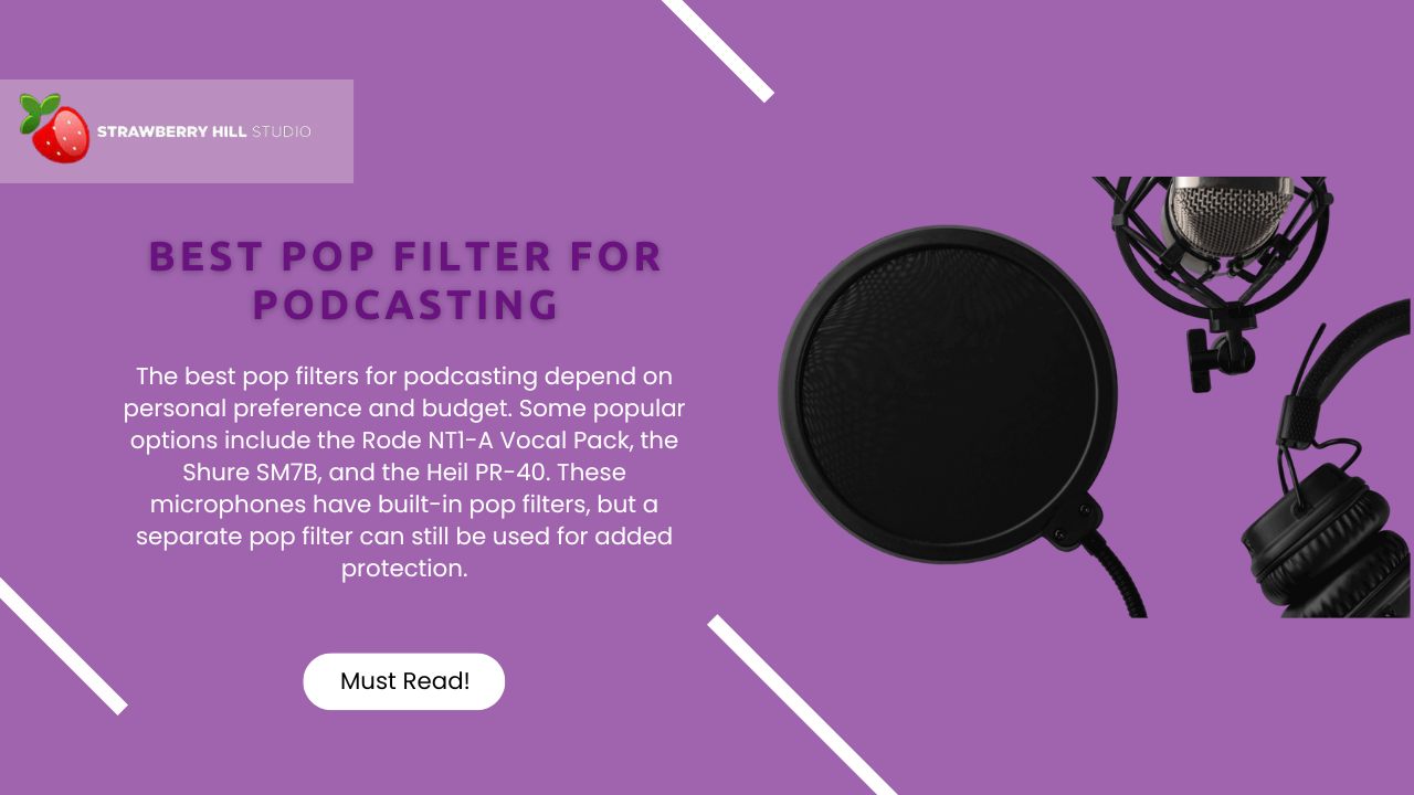 Filter Out the Noise Discovering the Best Pop Filter for Podcasting