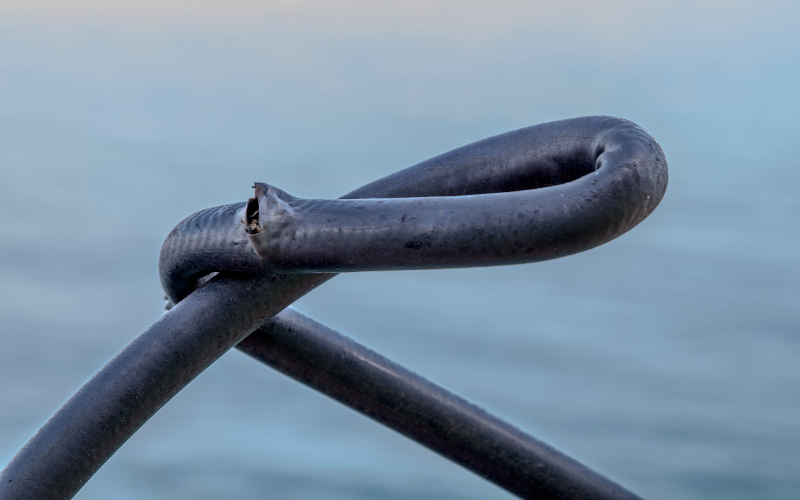 Hydraulic Hose Issues Red Flags to Watch for EGO Hydraulics Tampa