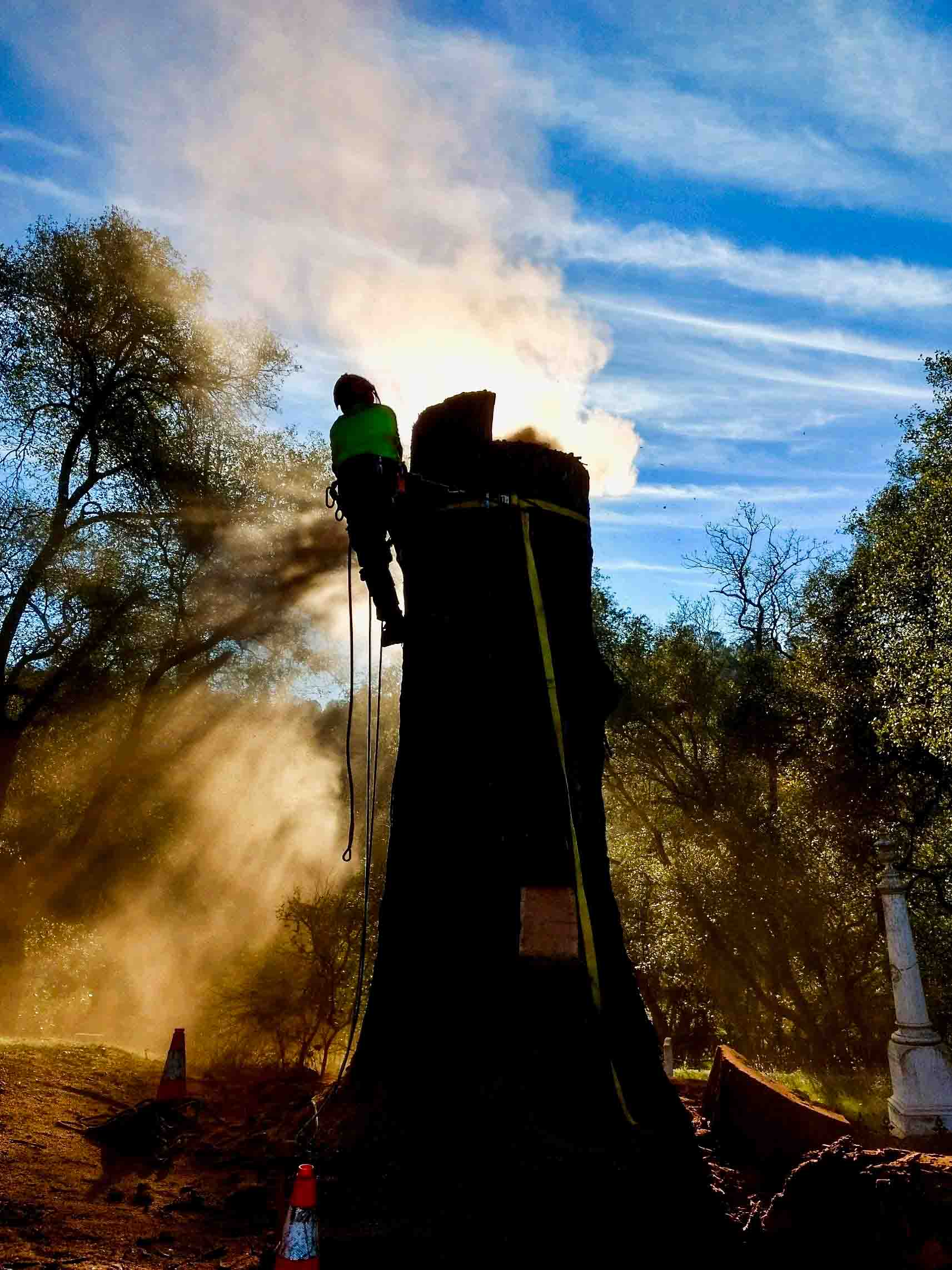 Tree Pro Tree Service Inc.