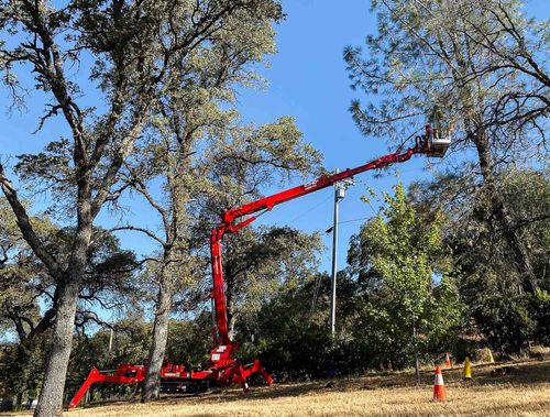 Tree Pro Tree Service Inc.