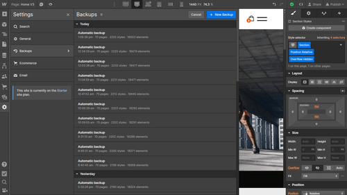 Backups - Fitnestic X Webflow Template