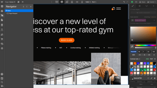 Color - Fitnestic X Webflow Template