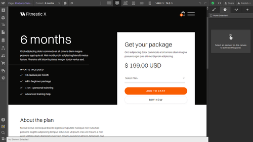 Ecommerce Page - Fitnestic X Webflow Template