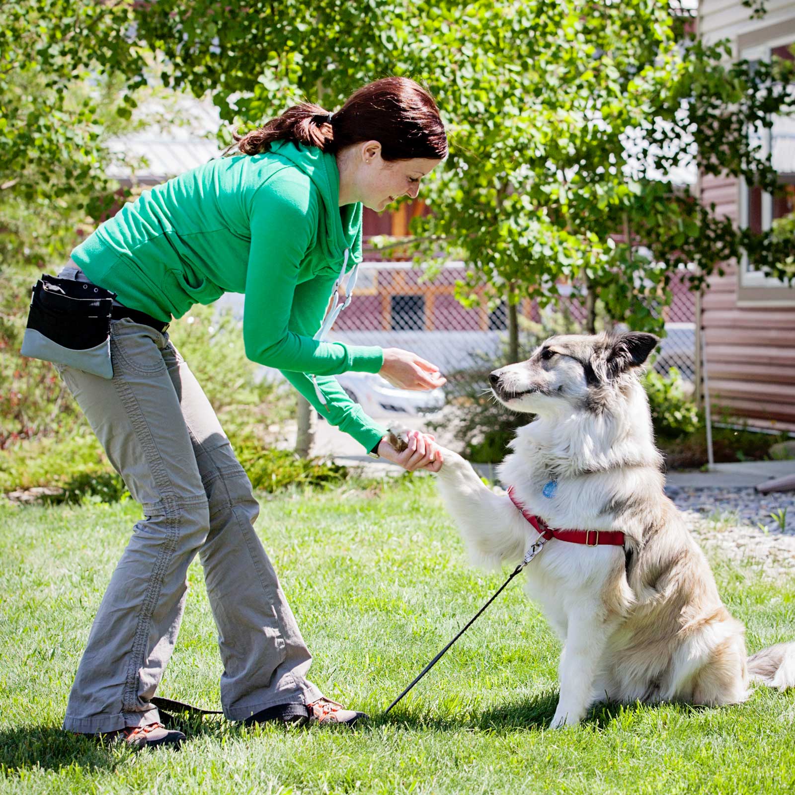 Cochrane and Area Humane Society dog trainer certification