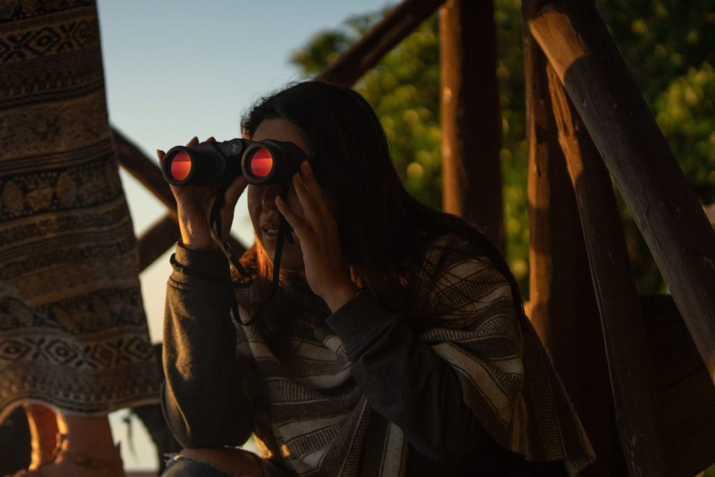 Is Chiapas the new Yucatan ? - Rutopía: viajes únicos en México, hechos ...