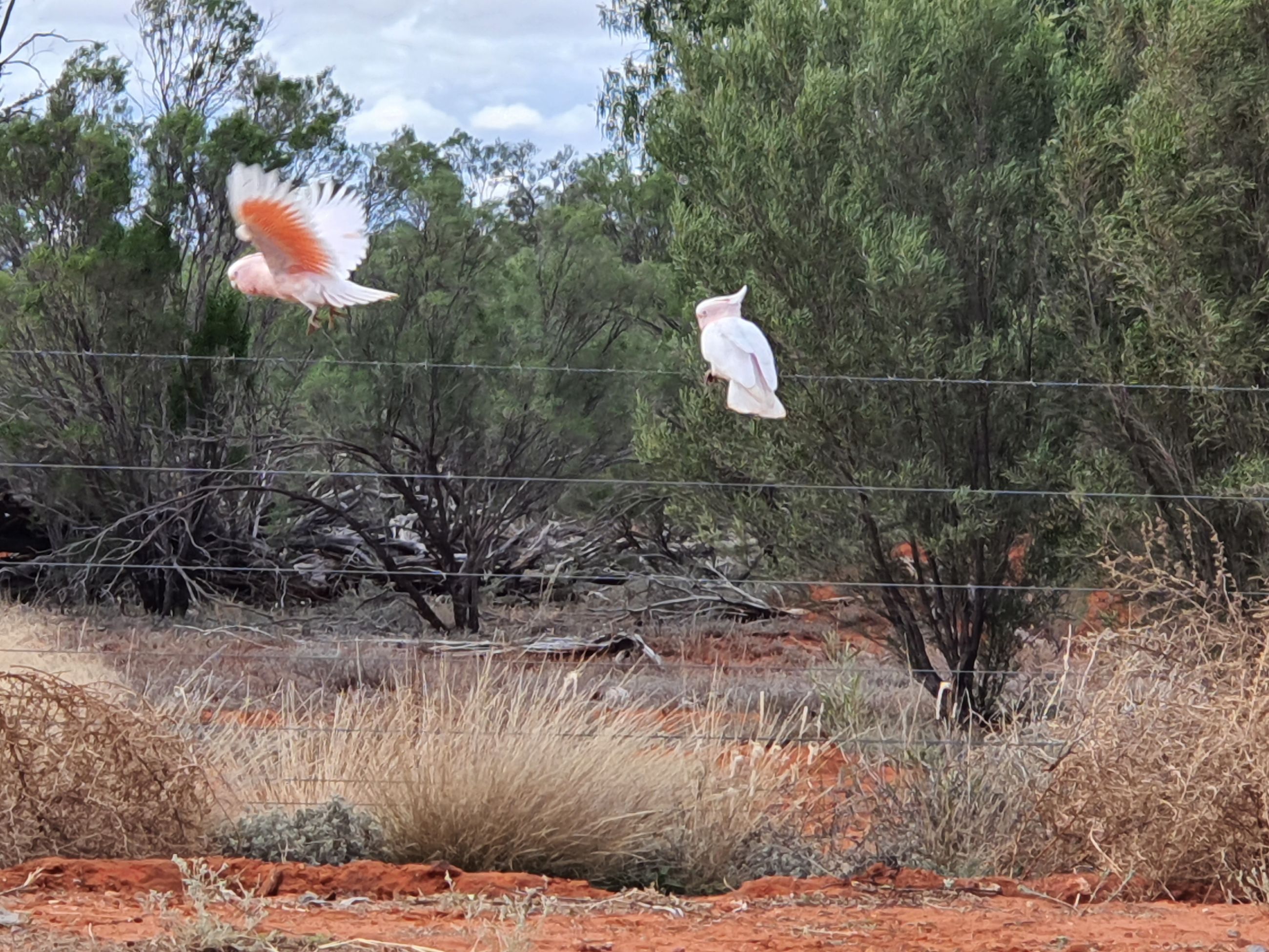 Environmental Impact Statements (EIS) in NSW: A Detailed Overview ...