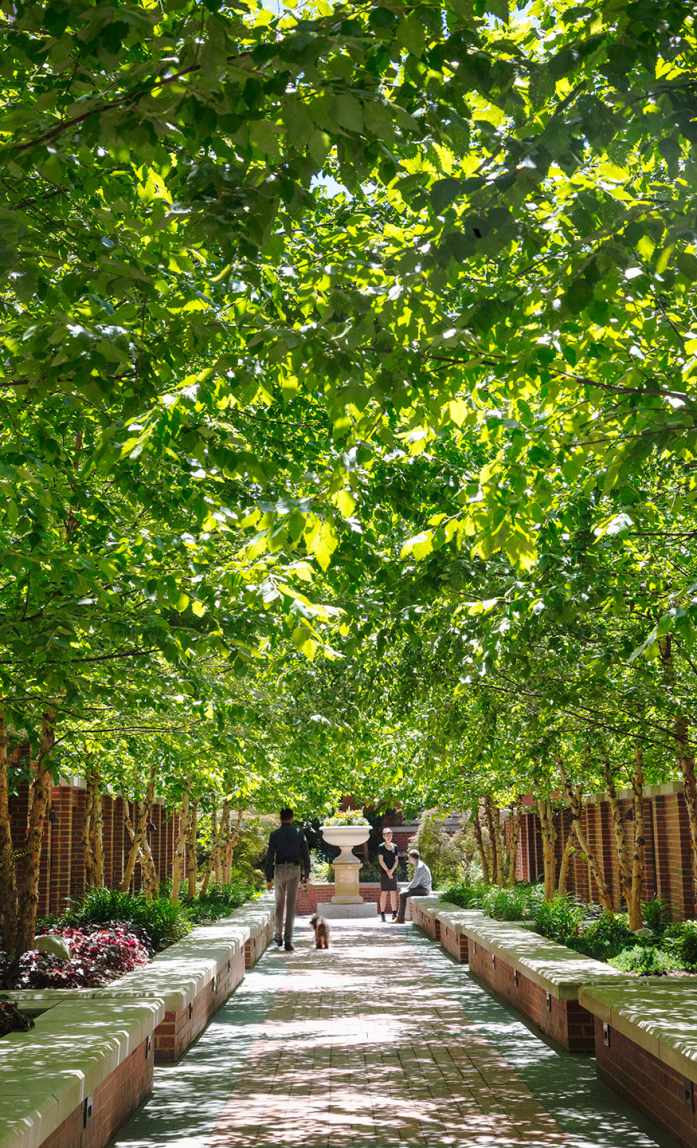 Landscape Architecture | Urban Design | MPFP
