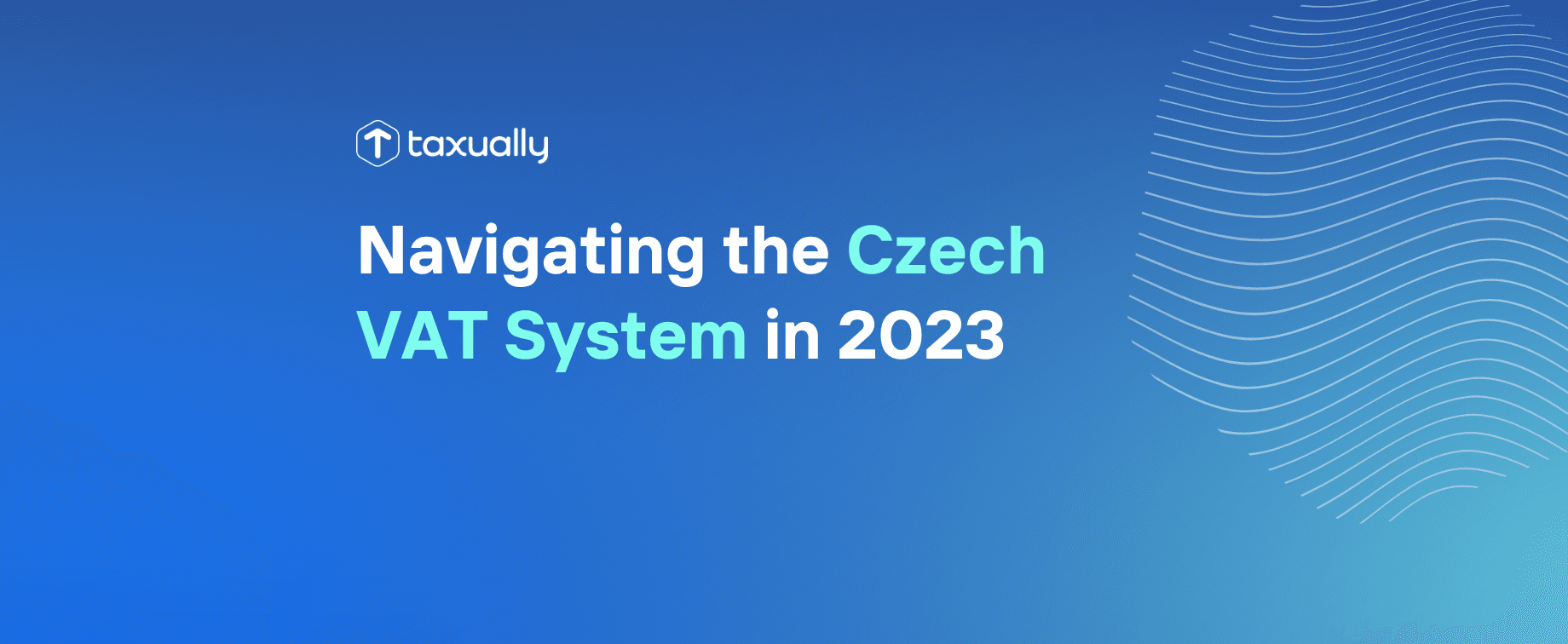 Taxually Navigating the Czech VAT System in 2023