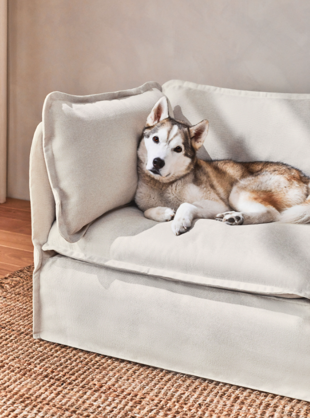 We Found the Ruggable of Sofas Anabei’s Fully Washable Modular Sofa