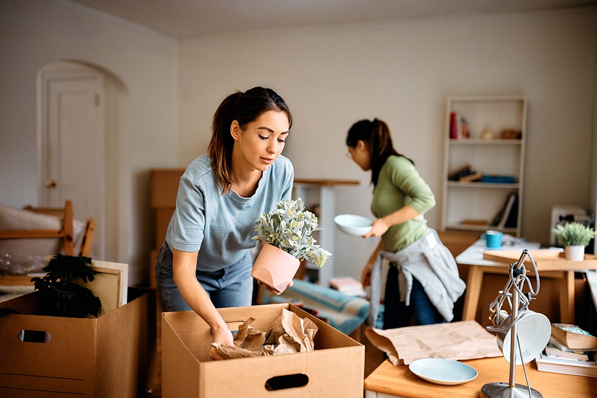 Student Removals