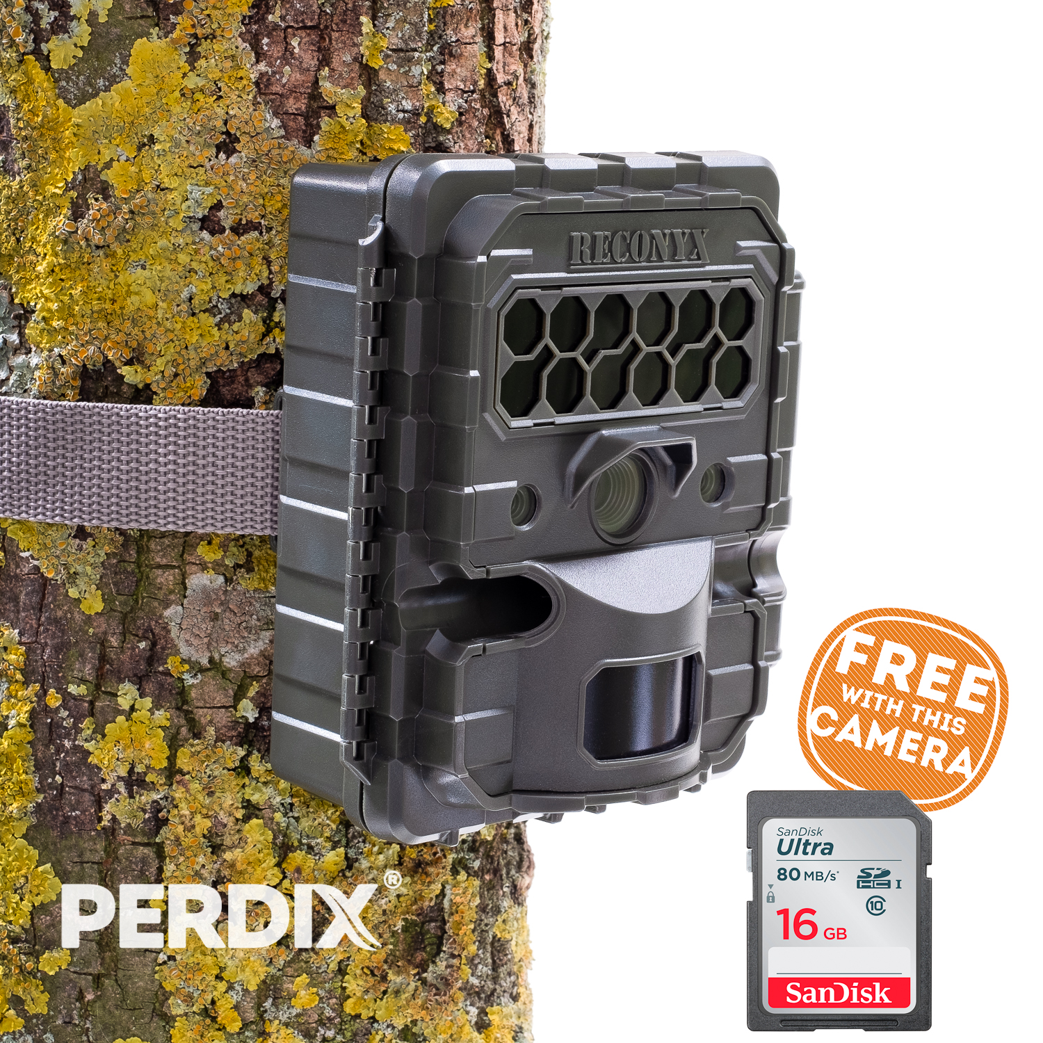 How to Setup Reconyx HF2X HyperFire 2 Covert Trail Camera