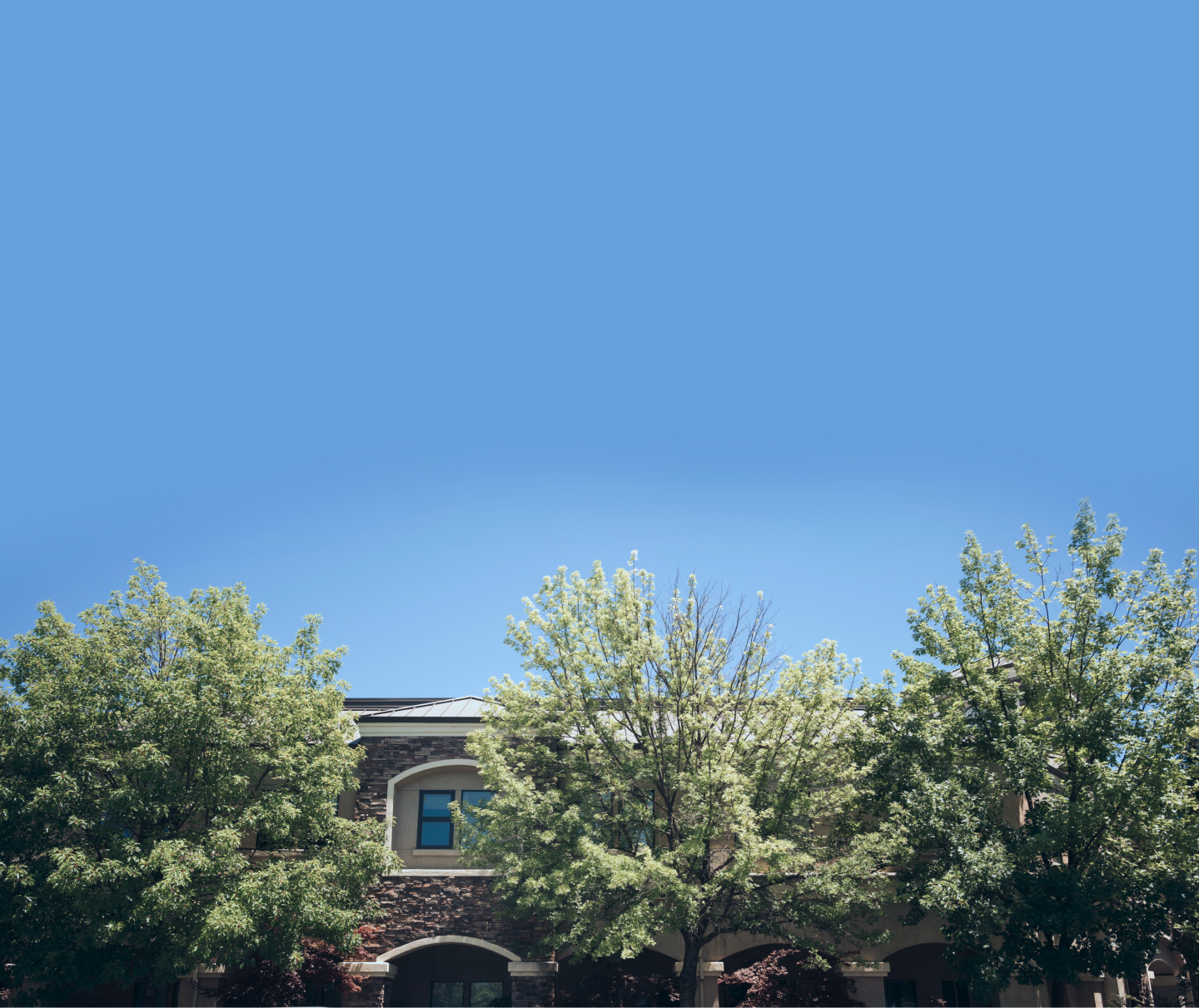 Contact My Chico Dentist Chico, CA