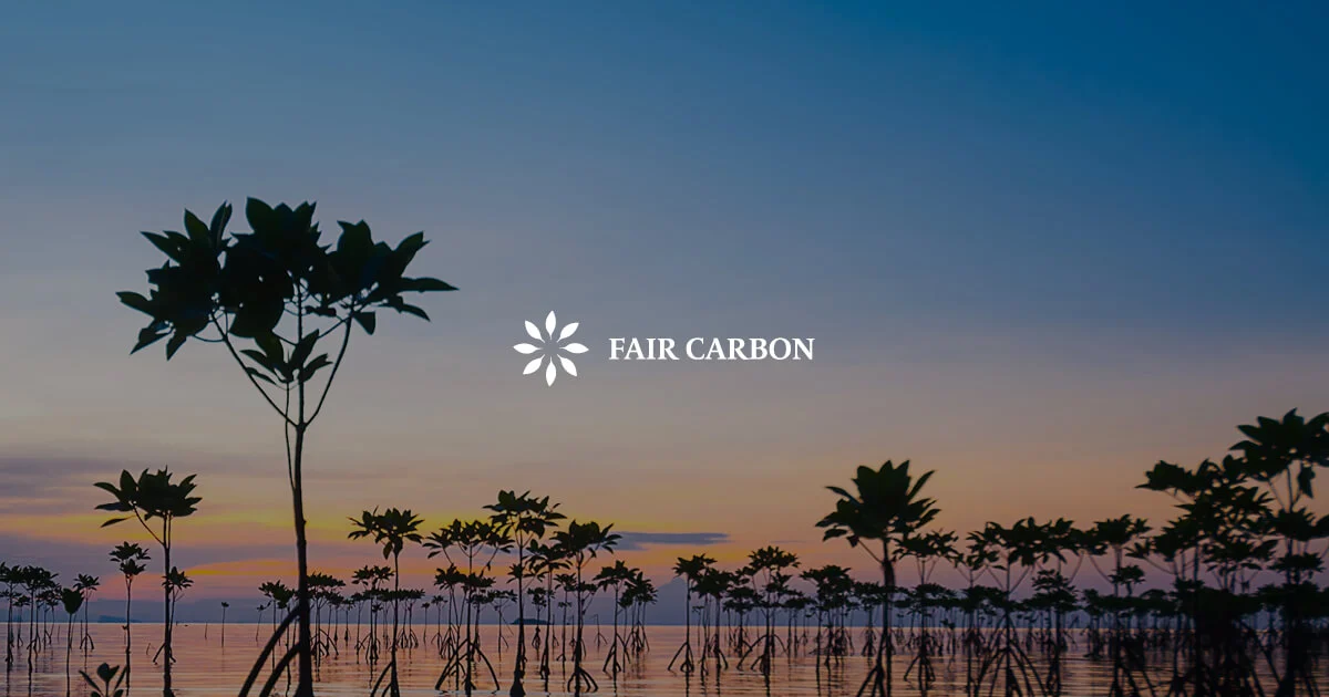 Fair Carbon Protecting The Worlds Coastal And Marine Ecosystems