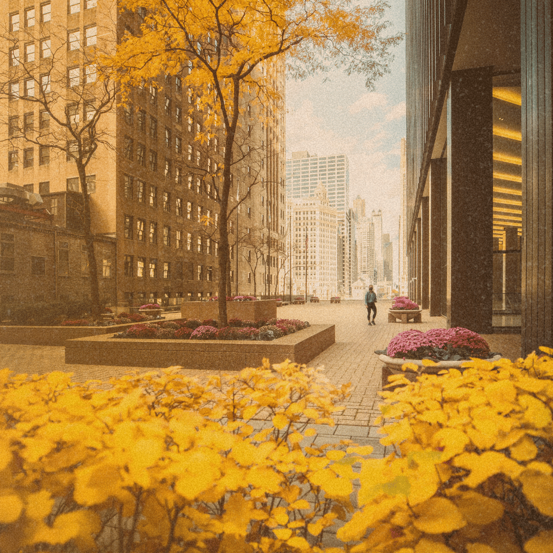 andy-sotiropoulos-navigating-dui-evaluations-in-illinois