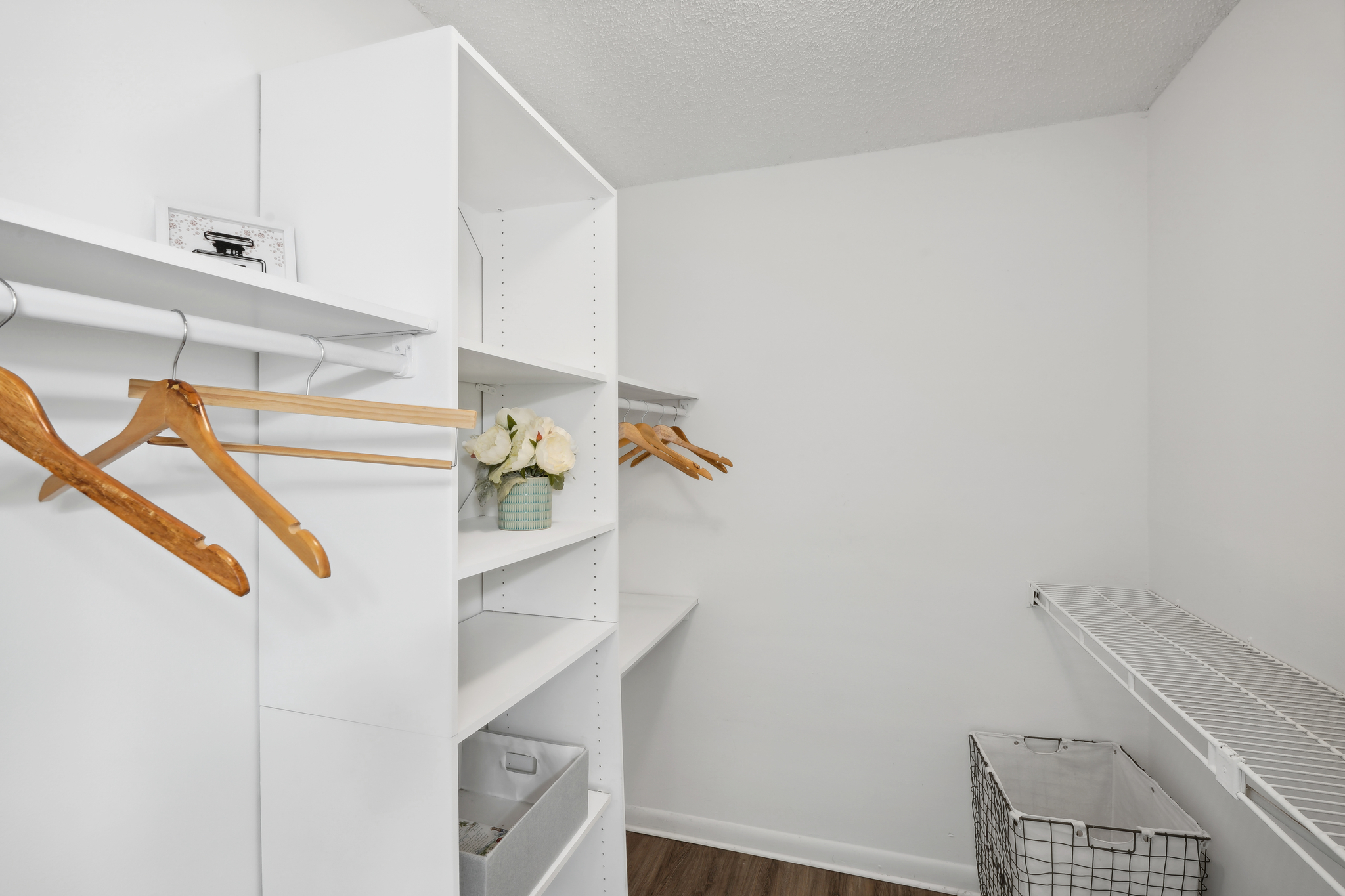Luxury Apartment Daytona Beach Daytona Beach Apartment For Rent luxury-apartment-daytona-beach-daytona-beach-apartment-for-rent