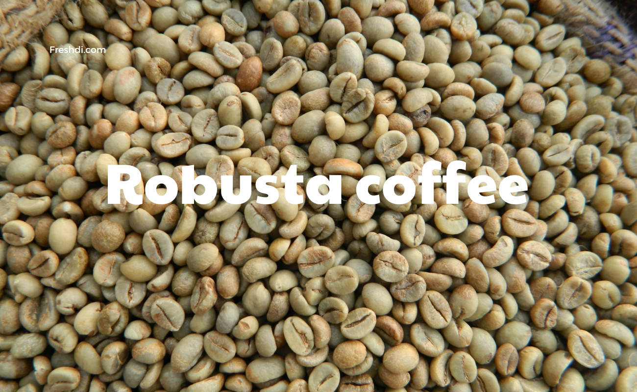 How to Import Coffee from Vietnam A StepbyStep Process
