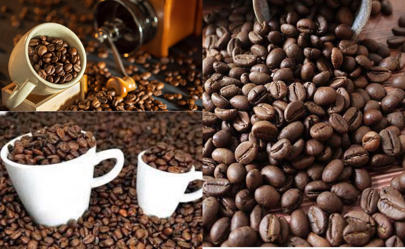 Top Vietnamese Coffee Suppliers A Comprehensive Guide 2023