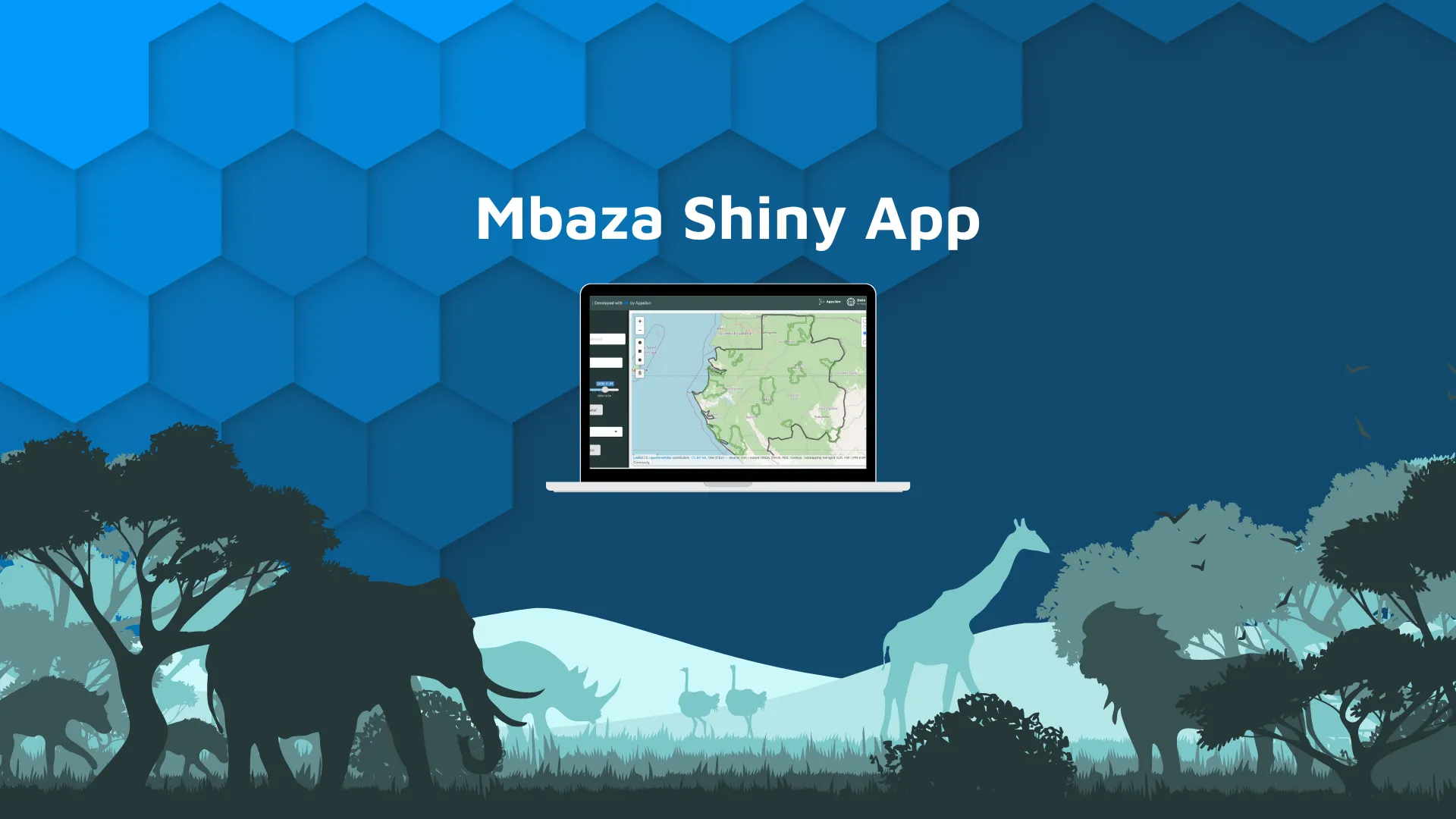 Mbaza Shiny App Case Study