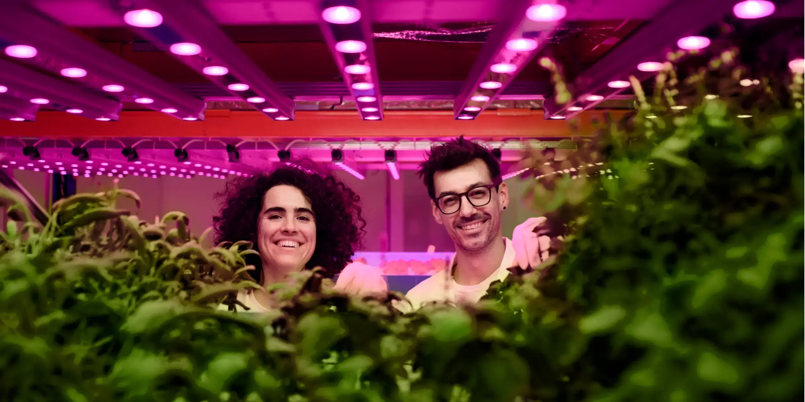 Ideal Grow Room Temp and Humidity Part 2