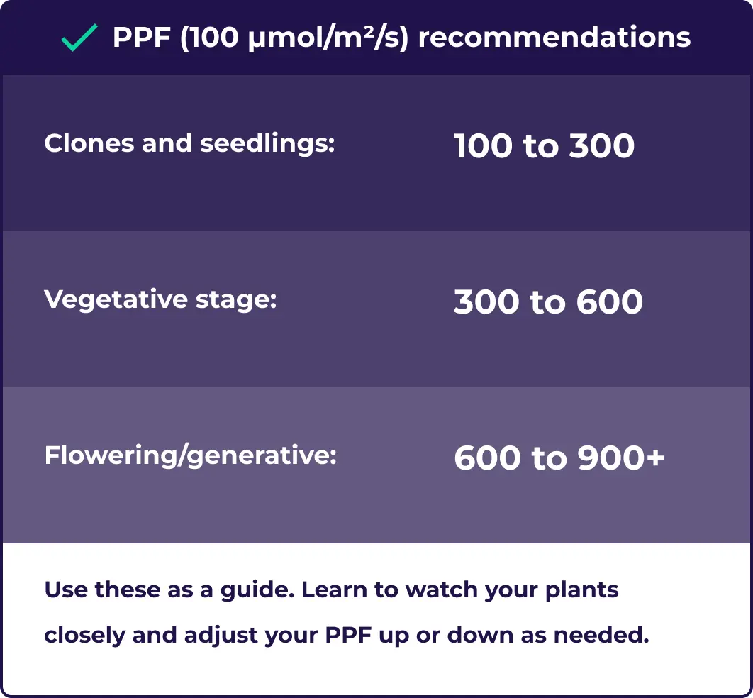 Optimal PPFD levels for cannabis seedlings Expert tips