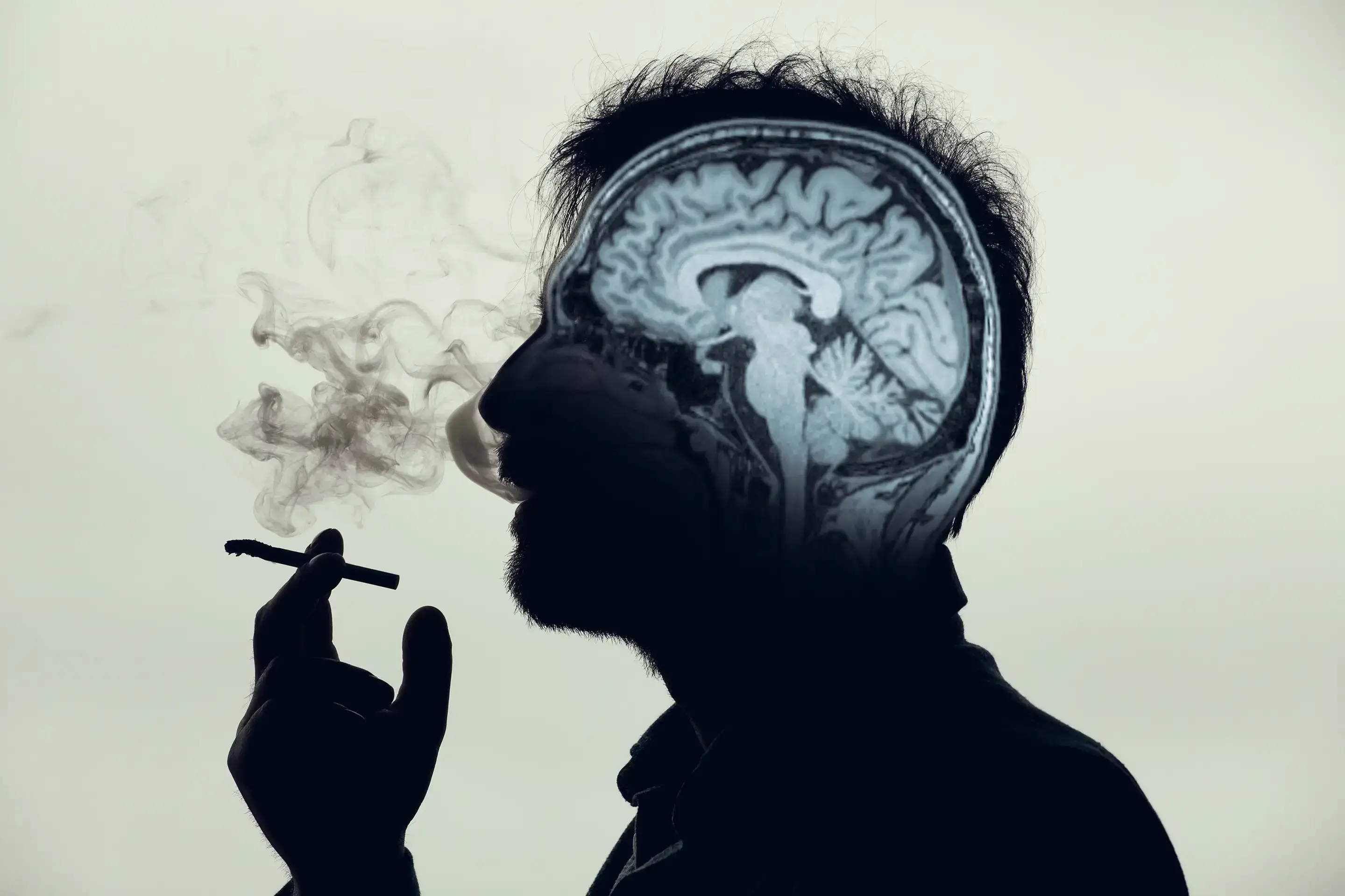 A Pack a Day: Prenuvo's AI Study into Smoking and Long-Term Brain Health