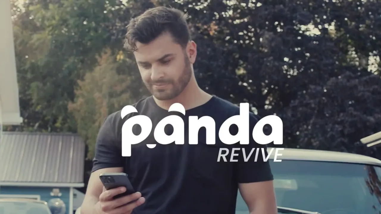 Panda Hub The Mobile Car Detailing Marketplace