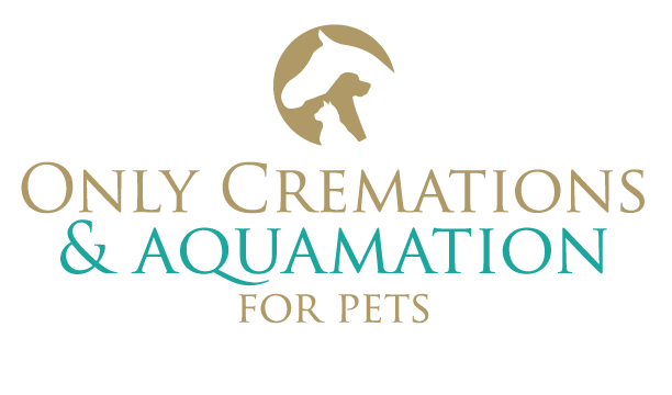 Unleashed - Where Veterinary Passion Takes the Lead