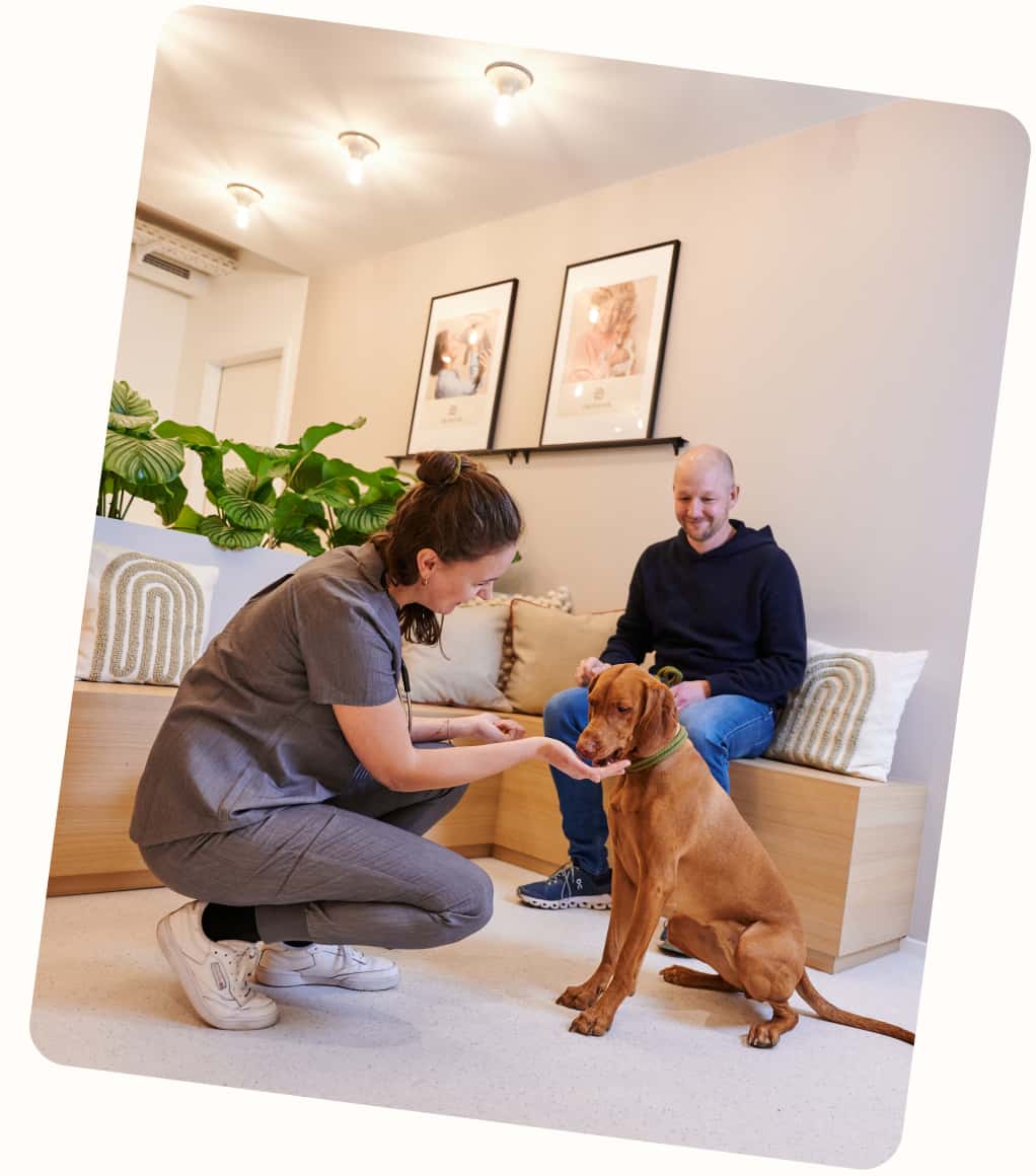 Filu Tierarztpraxis Pempelfort - Allgemein- Und Notfallmedizin Willkommen bei filu | Deine Tierarztpraxis München