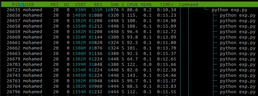 Multiprocessing python htop