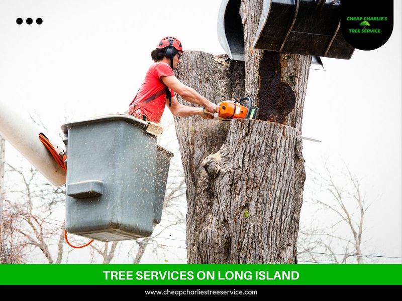 Cheap Charlie's Tree Service