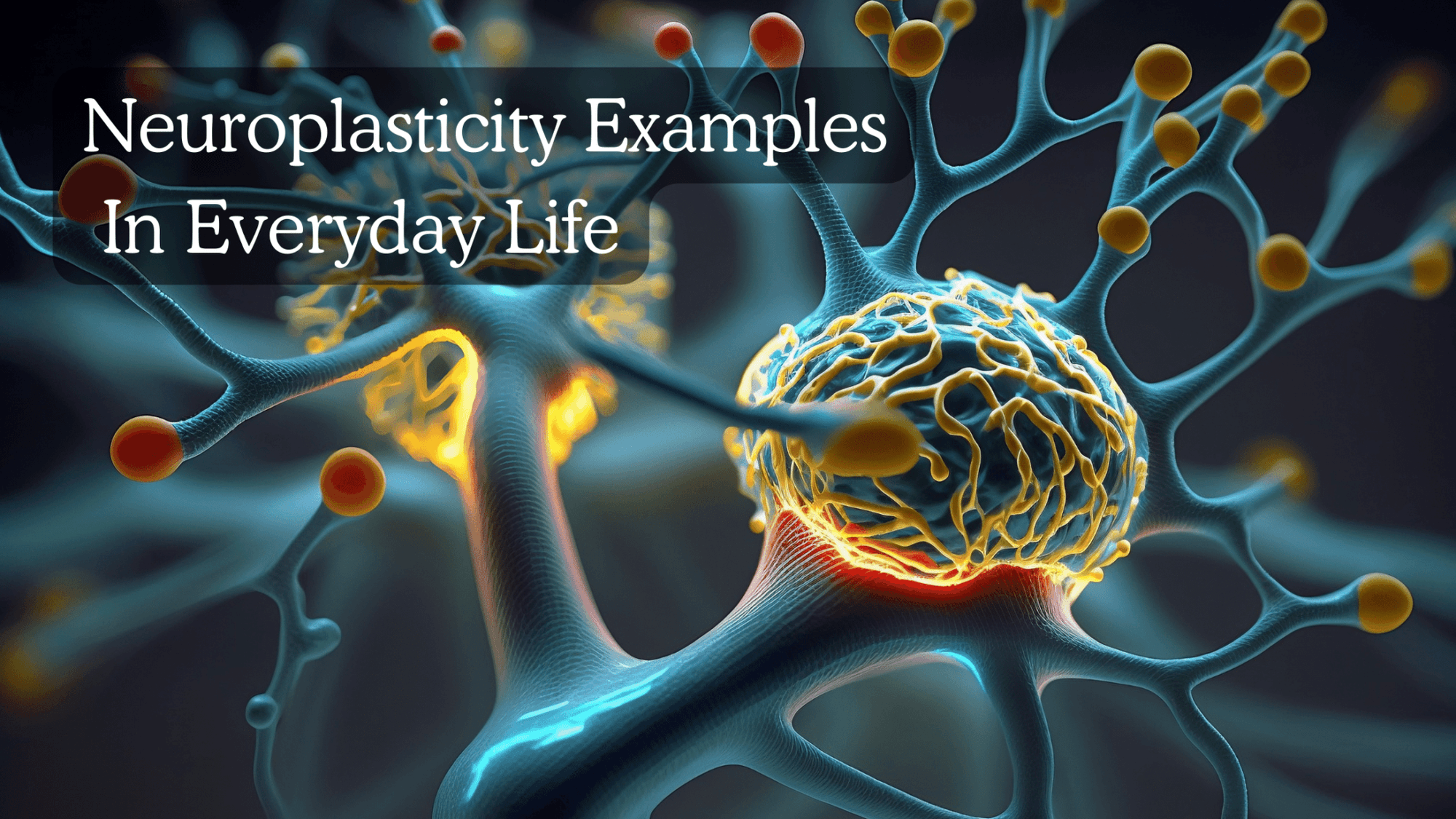 What are Limbic System Retraining Exercises?