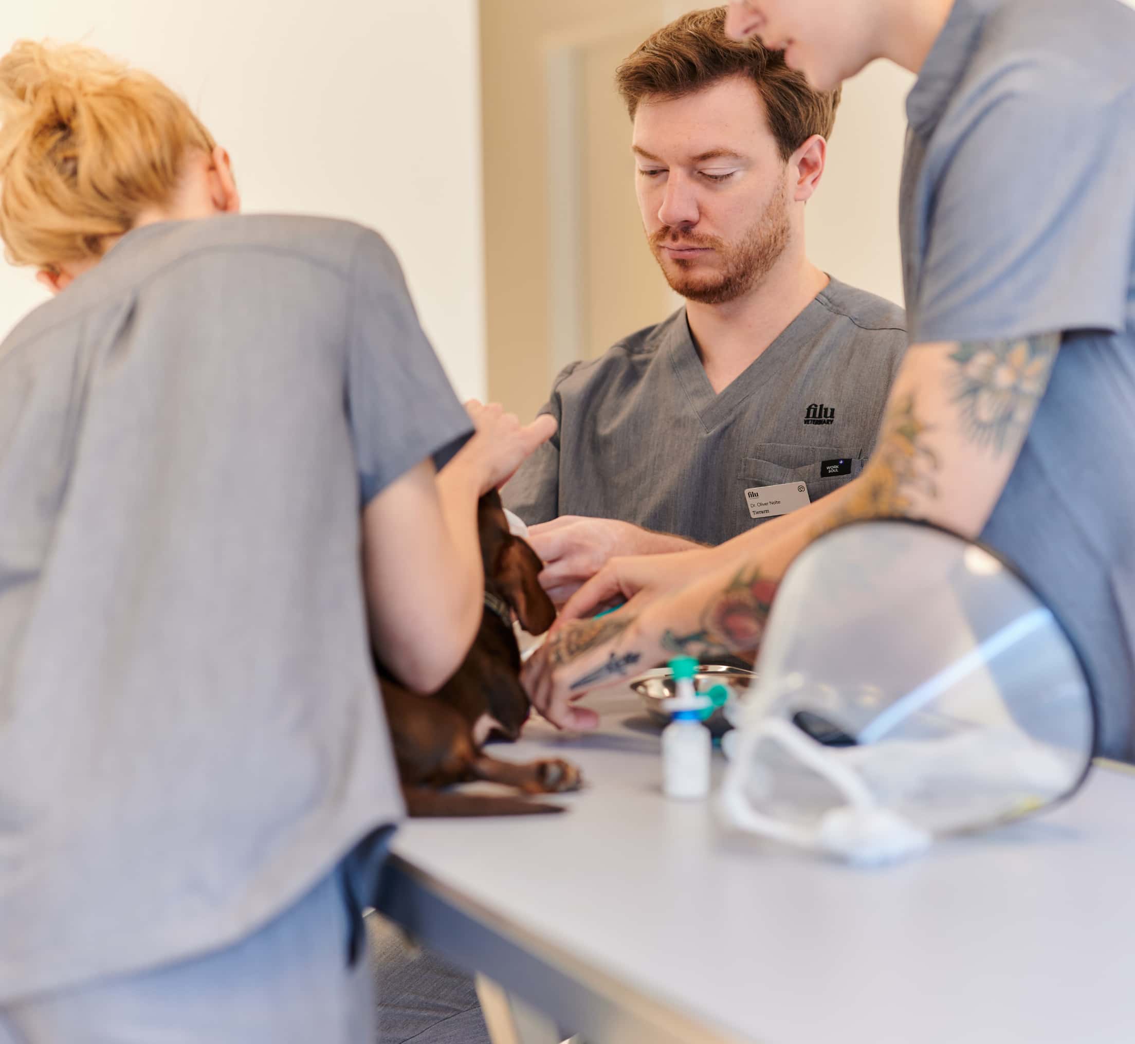 Filu Tierarztpraxis Pempelfort - Allgemein- Und Notfallmedizin Willkommen bei filu | Deine Tierarztpraxis München