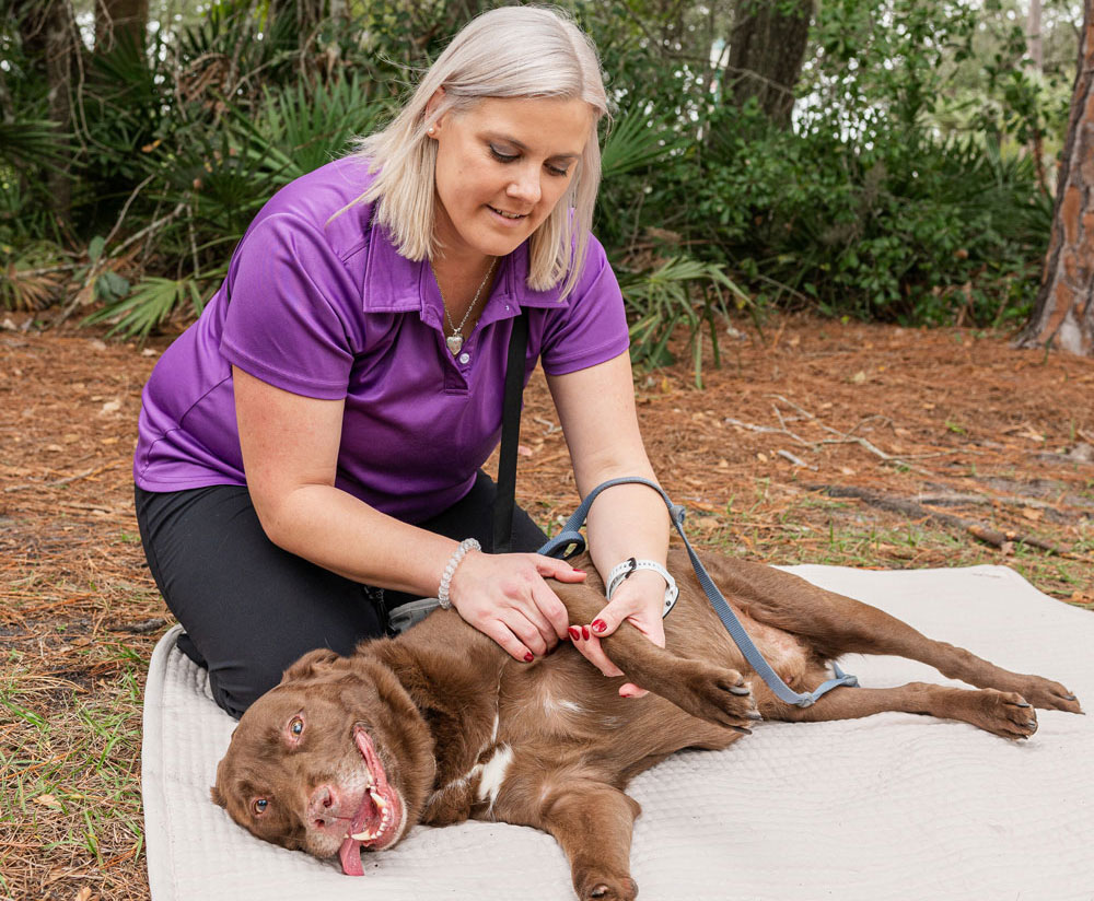 Happy Paws Rehab Canine Rehabilitation for Arthritis in Orlando, FL