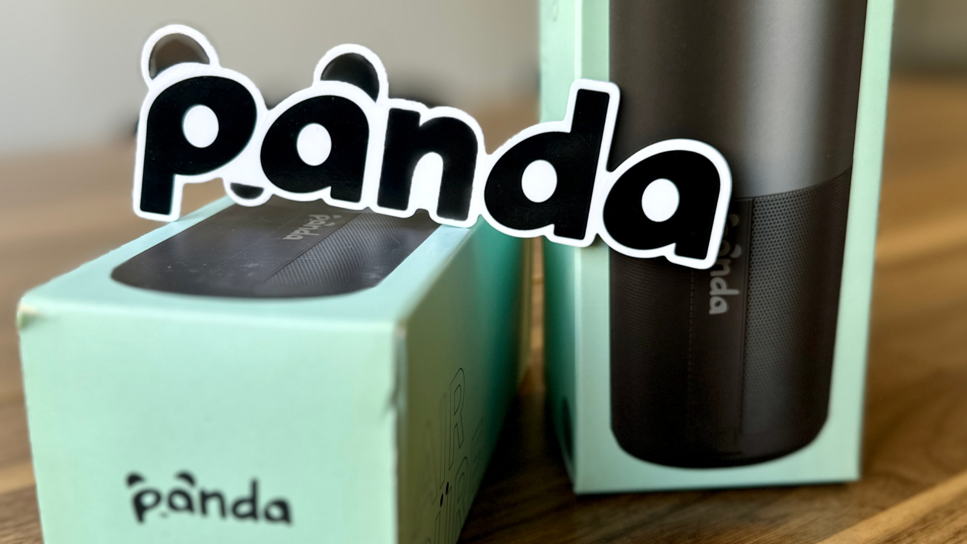 Our Panda Car What Are They? Panda Hub Car Care