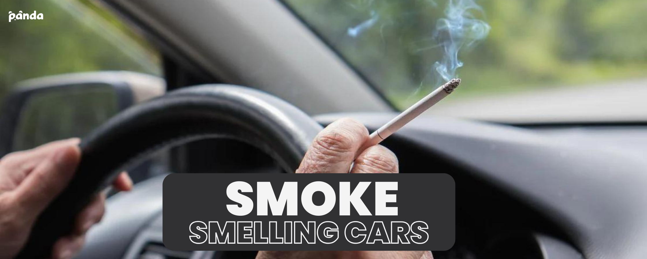 How To Get Smoke Smell Out Of Car Panda Hub Car Care
