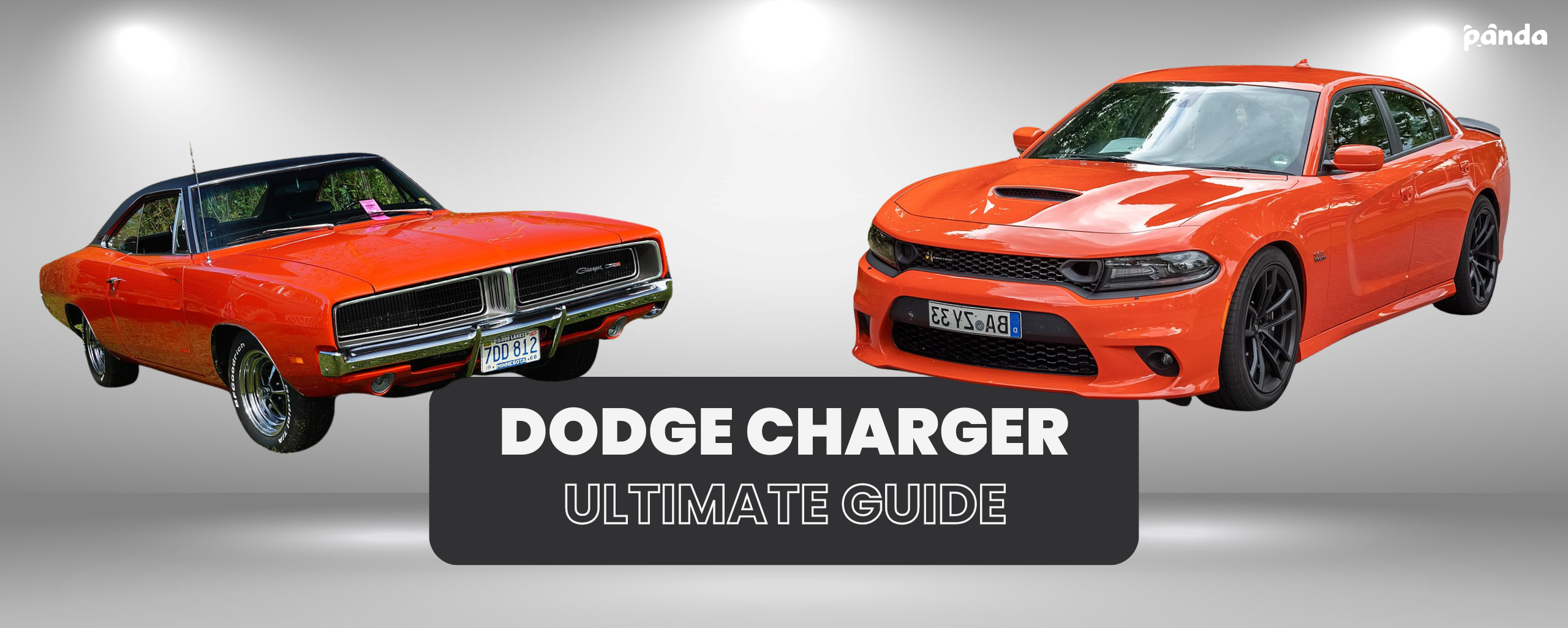 The Ultimate Guide to Dodge Charger Longevity  Panda Hub Car Care