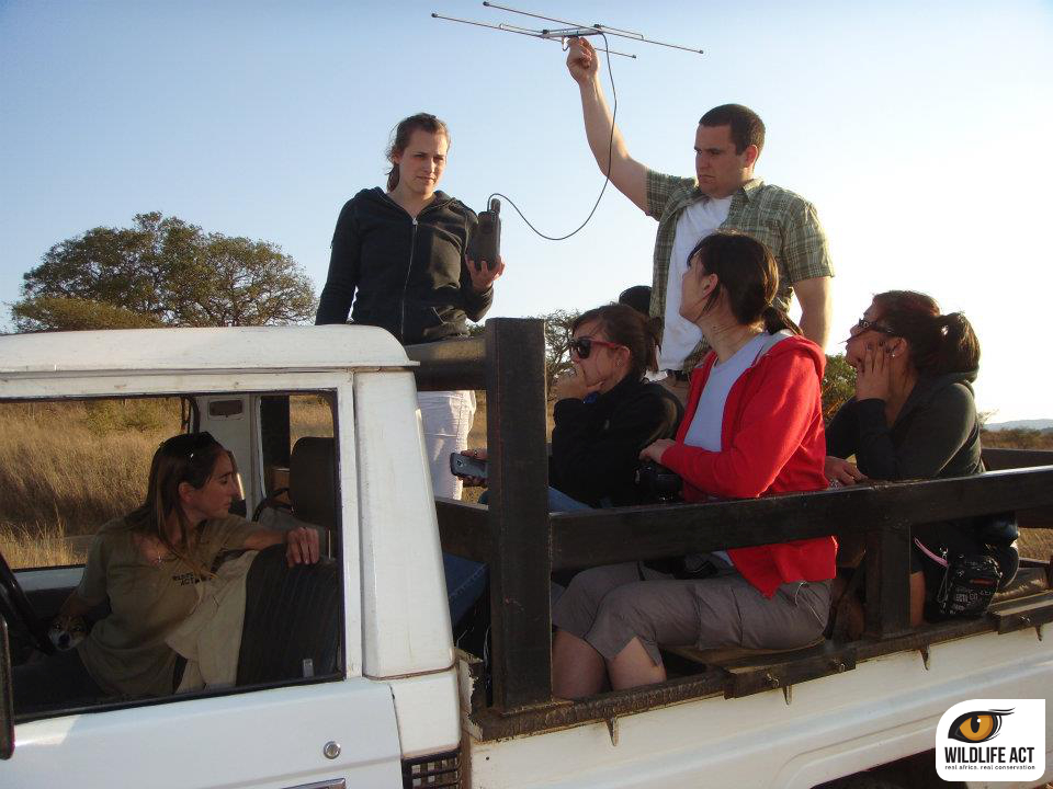 The Art of Telemetry & Wildlife Monitoring