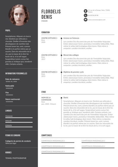 Idee De Cv 3Eme Exemple Cv Classe De 3 me LCKM Idee De Cv 3Eme Exemple Cv Classe De 3 me LCKM