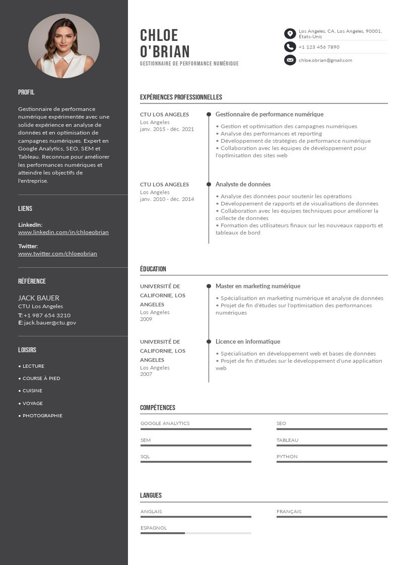 CV Gestionnaire de la Performance Numérique : Modèles et Astuces