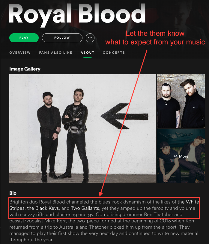 How to Write a Music Bio A Guide for Bands & Artists