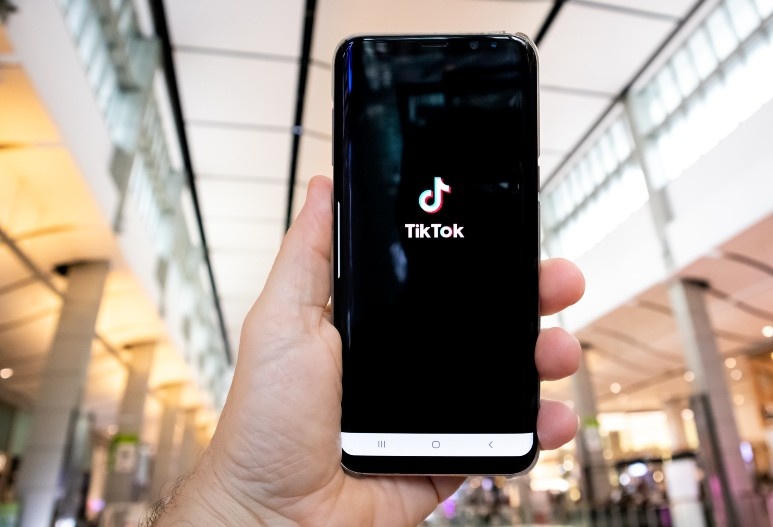 How to Build a Fanbase from Scratch in 2024