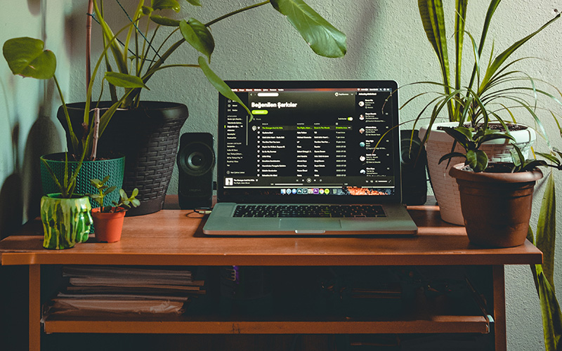 10 Best Spotify Playlist Curators to Send Your Music To - Spotify playlist open on laptop